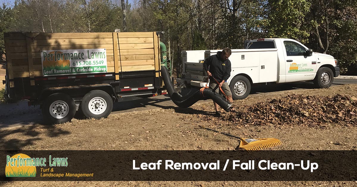 Leaf Removal And Fall Clean Up Services